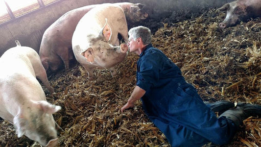 5 Reasons a Reliable Meat Supplier Is Key to Your Restaurant’s Success