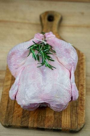 4 lbs. Whole Chicken
